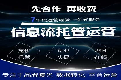 SEM运营策略案例分析